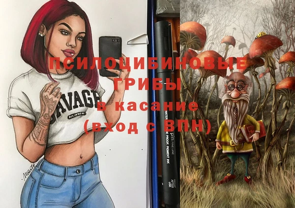 эйфоретик Белокуриха