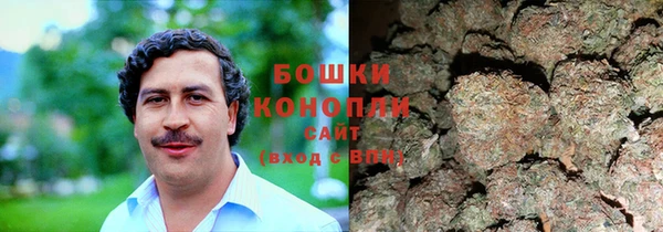 эйфоретик Белокуриха