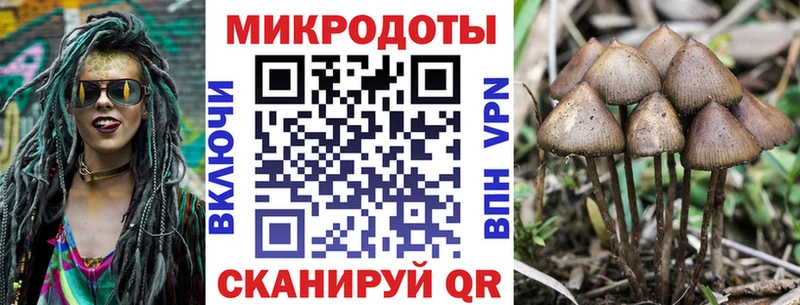 даркнет как зайти  наркошоп  Верхний Уфалей  Галлюциногенные грибы Magic Shrooms 