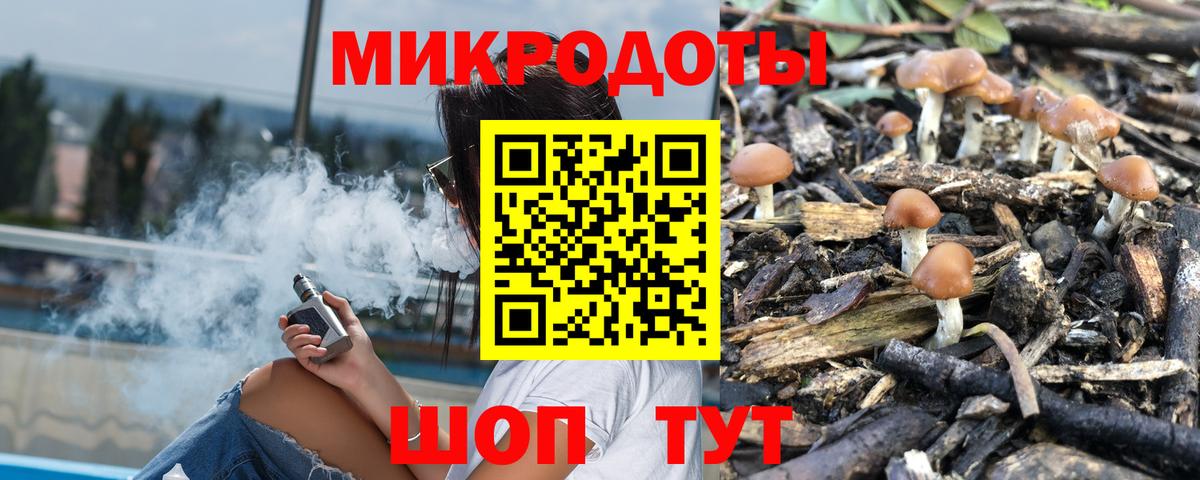 Псилоцибиновые грибы прущие грибы Верхний Уфалей