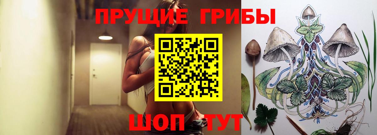 Галлюциногенные грибы мухоморы  цена наркотик  Верхний Уфалей  Вход с VPN 